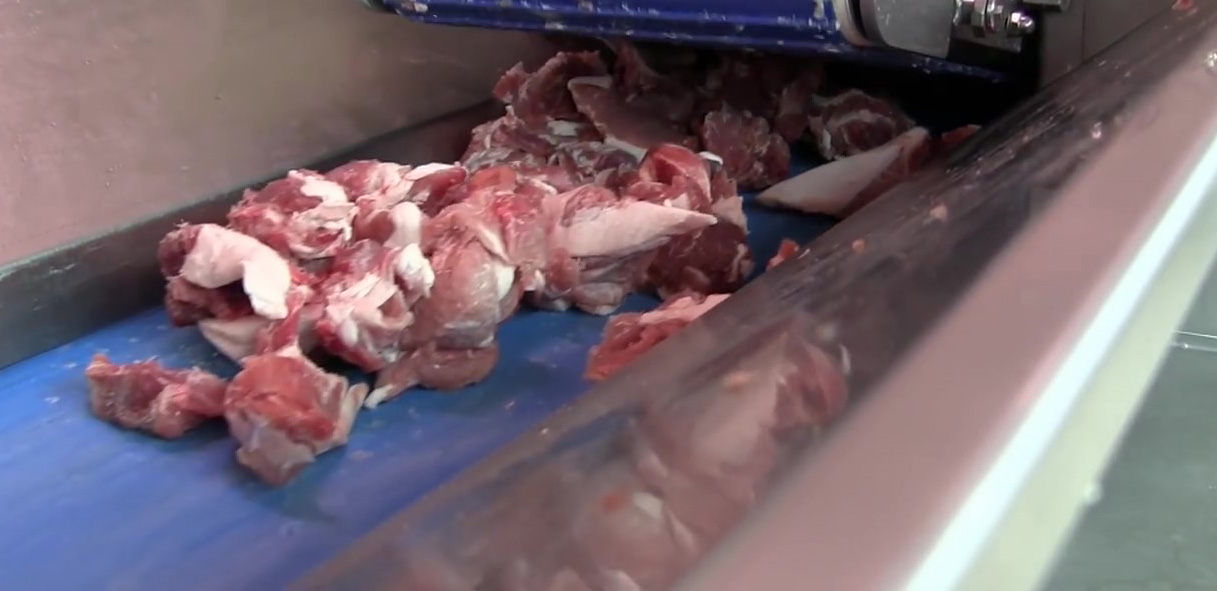 肉類輸送帶